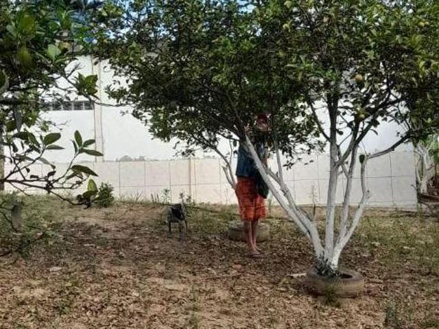 Sítio e chácara venda em Piedade, São Paulo