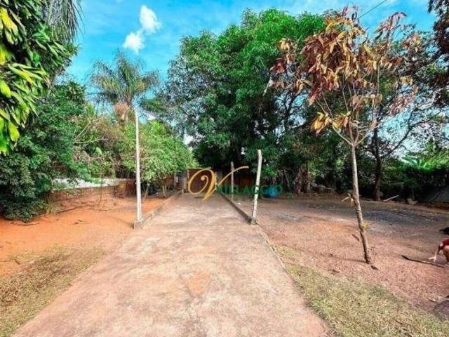 Sítio e chácara venda em Região Imediata de São José do Rio Preto, Região Metropolitana de São José do Rio Preto