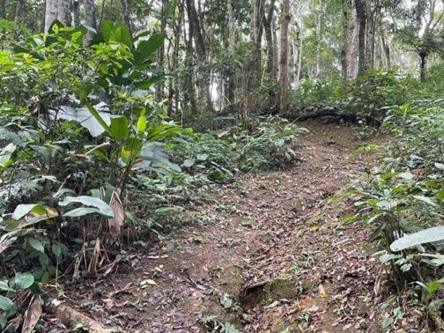 Sítio e chácara venda em Distrito-sede de Guarulhos, Guarulhos
