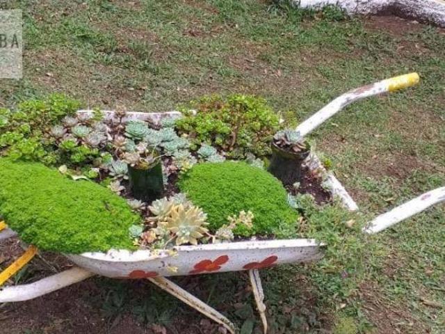 Sítio e chácara venda em Região Geográfica Imediata de Curitiba, Região Metropolitana de Curitiba