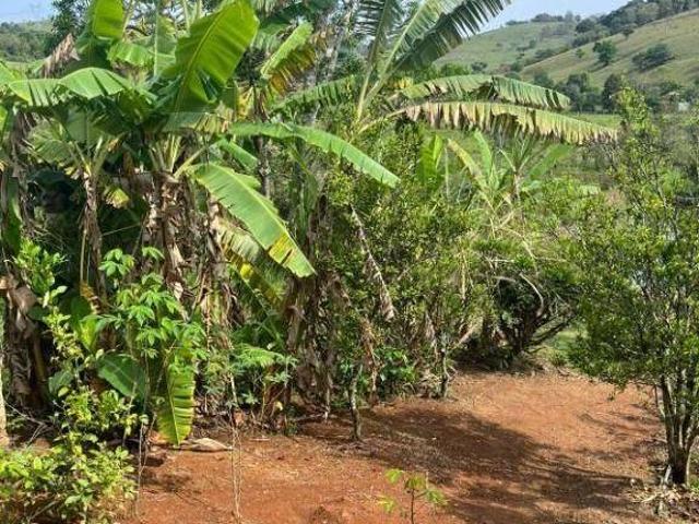 Sítio e chácara venda em Região Geográfica Imediata de Itajubá, Brasópolis