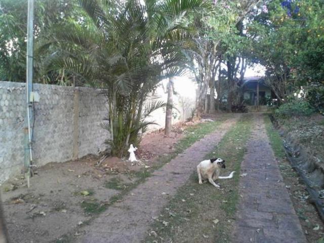 Sítio e chácara venda em Valinhos
