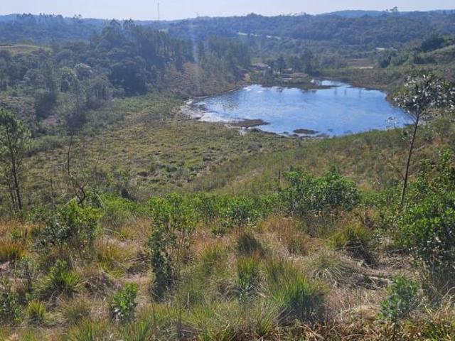 Sítio e chácara venda em Região Geográfica Imediata de Curitiba, Região Metropolitana de Curitiba