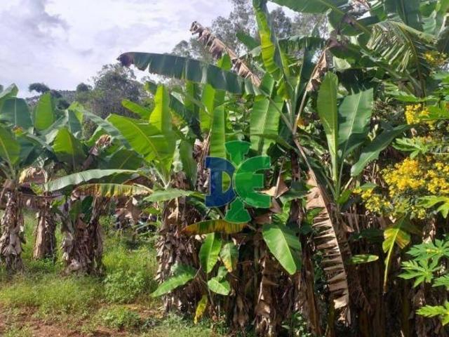 Sítio e chácara venda em Região Imediata de Guaratinguetá, Região Metropolitana do Vale do Paraíba e Litoral Norte