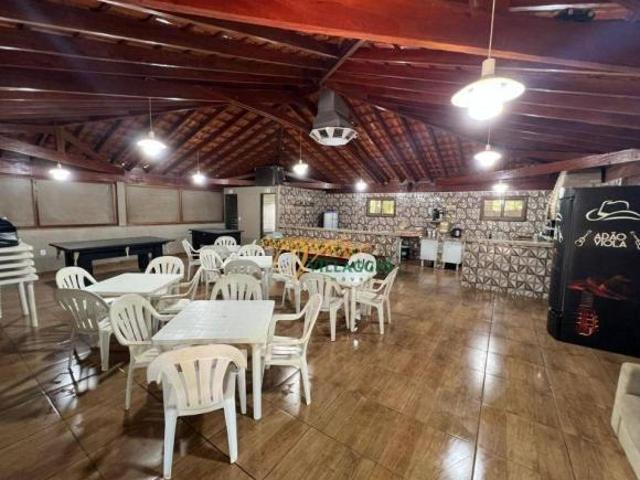 Sítio e chácara venda em Região Imediata de São José do Rio Preto, Região Metropolitana de São José do Rio Preto