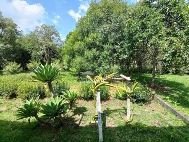 Sítio e chácara venda em Ibiuna, São Paulo