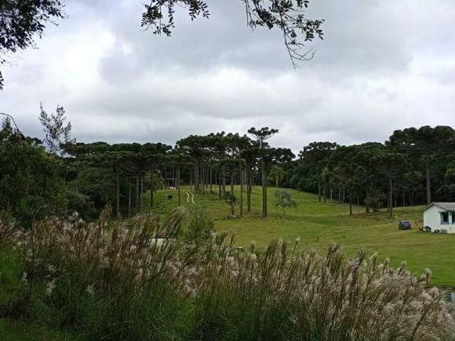 Sítio e chácara venda em Região Geográfica Imediata de Curitiba, Região Metropolitana de Curitiba