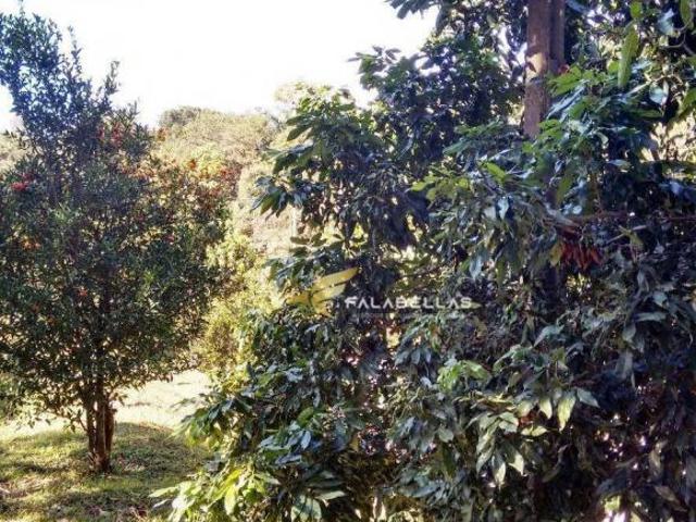 Sítio e chácara venda em Região Imediata de Jundiaí, Várzea Paulista