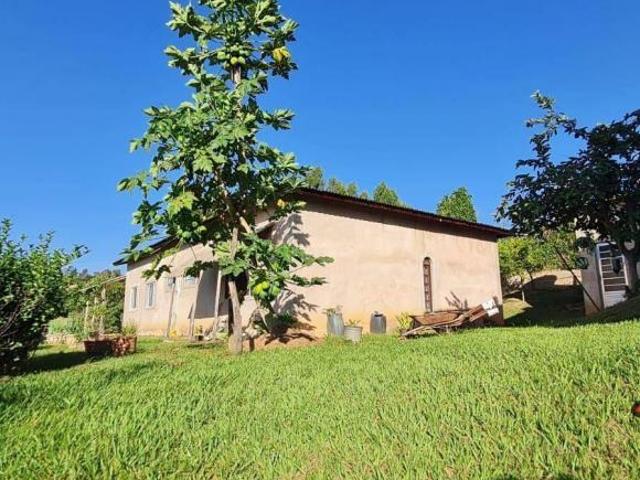 Sítio e chácara venda em Porto Feliz