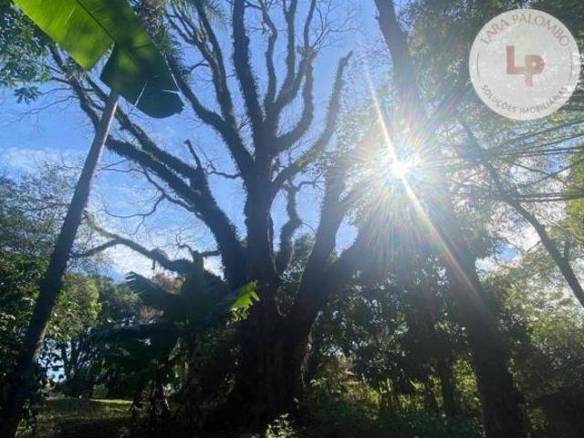 Sítio e chácara venda em Região Imediata de Campinas, Região Metropolitana de Campinas