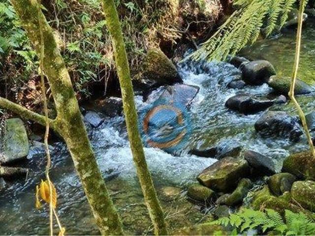Sítio e chácara venda em Região Geográfica Imediata de Curitiba, Região Metropolitana de Curitiba