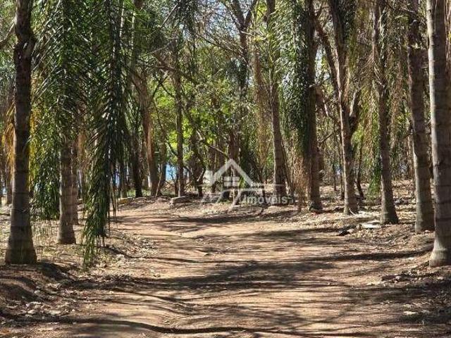Sítio e chácara venda em Região Imediata de Lins, Sabino
