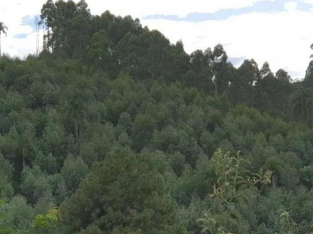 Sítio e chácara venda em Região Geográfica Imediata de Curitiba, Região Metropolitana de Curitiba