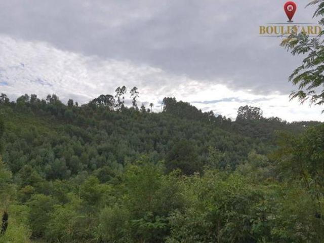 Sítio e chácara venda em Região Geográfica Imediata de Curitiba, Região Metropolitana de Curitiba