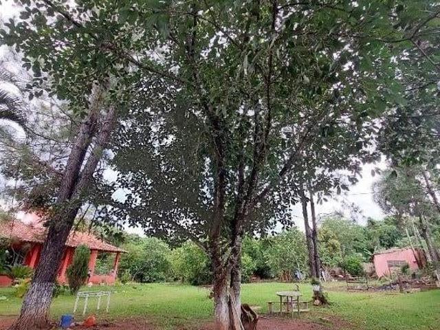 Sítio e chácara venda em Região Imediata de Franca, Patrocínio Paulista