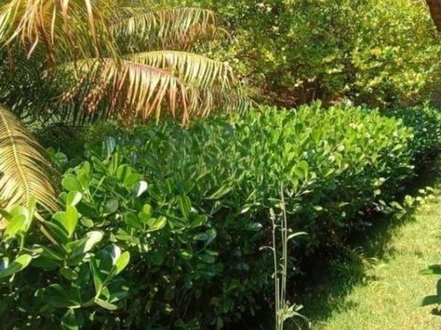 Sítio e chácara venda em Região Imediata de São Paulo, Região Metropolitana de São Paulo