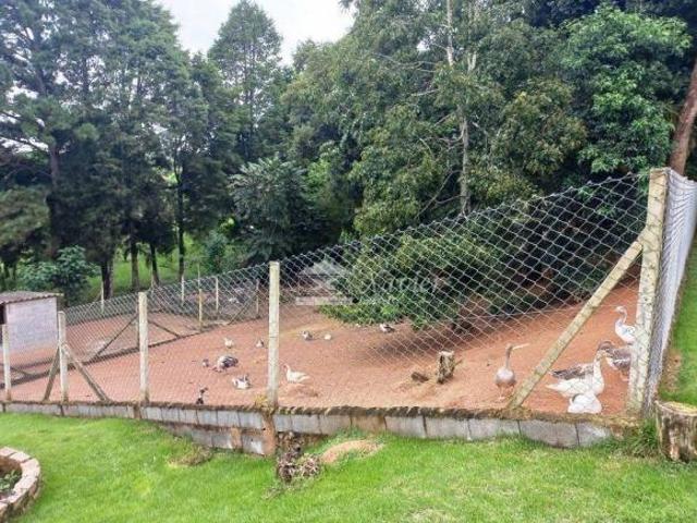 Sítio e chácara venda em Região Imediata de Sorocaba, Região Metropolitana de Sorocaba