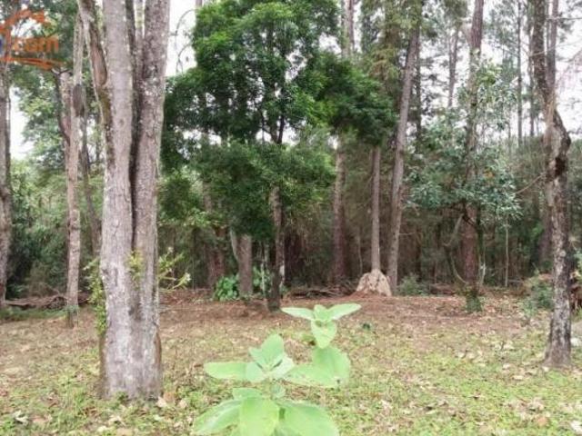 Sítio e chácara venda em Região Imediata de São José dos Campos, Região Metropolitana do Vale do Paraíba e Litoral Norte