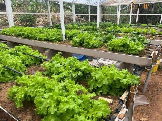 Sítio e chácara venda em Região Imediata de Bragança Paulista, Pedra Bela