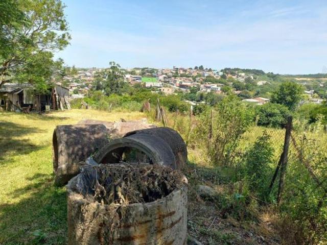 Sítio e chácara venda em Região Geográfica Imediata de Porto Alegre, Região Metropolitana de Porto Alegre