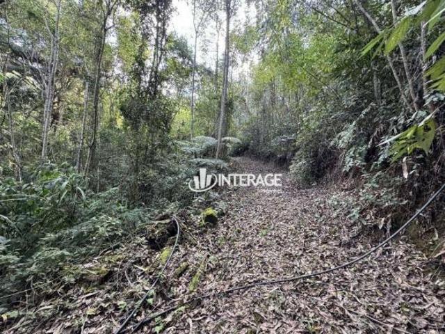 Sítio e chácara venda em Região Geográfica Imediata de Curitiba, Região Metropolitana de Curitiba