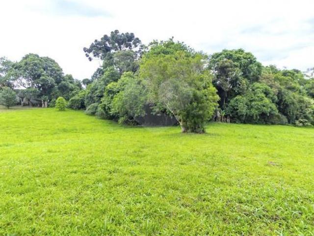Sítio e chácara venda em Região Geográfica Imediata de Curitiba, Região Metropolitana de Curitiba