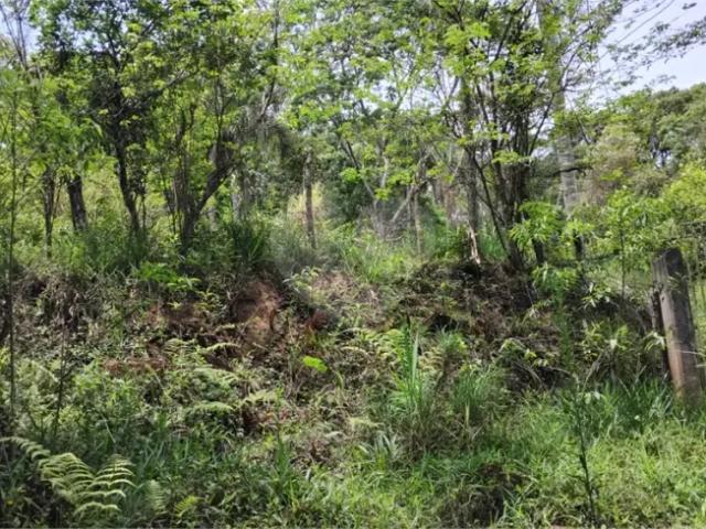 Fazenda venda em Região Imediata de São Paulo, Região Metropolitana de São Paulo