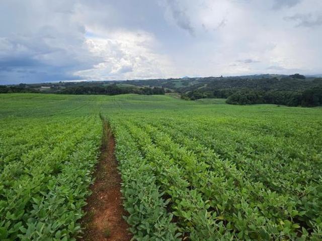 Sítio e chácara venda em Região Geográfica Imediata de Curitiba, Região Metropolitana de Curitiba
