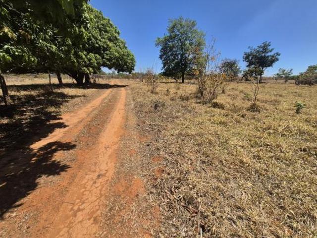 Sítio e chácara venda em Região Geográfica Imediata do Distrito Federal, Região Integrada de Desenvolvimento do Distrito Federal e Entorno