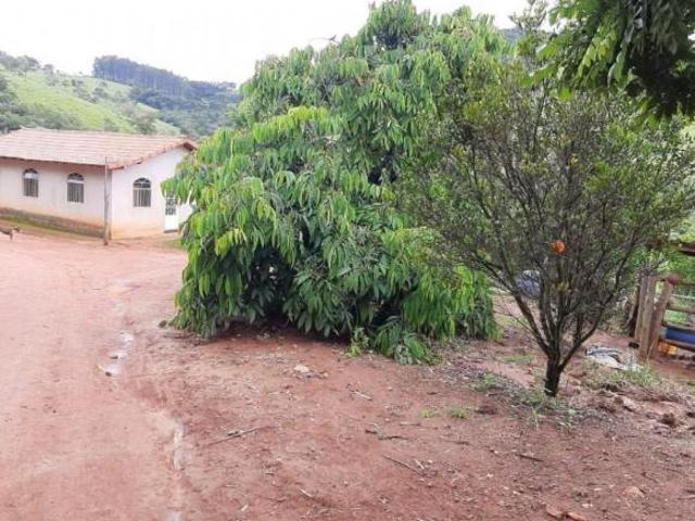 Sítio e chácara venda em Piedade dos Gerais, Região Geográfica Intermediária de Divinópolis