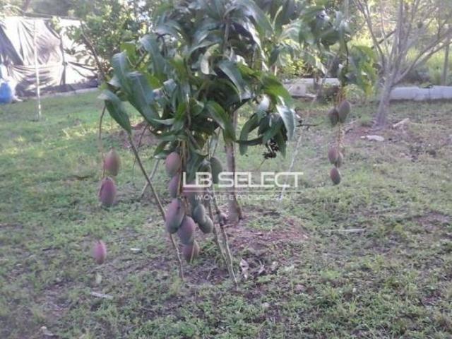 Sítio e chácara venda em Região Geográfica Imediata de Uberlândia, Oliveira Fortes