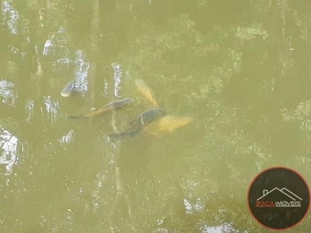 Sítio e chácara venda em Taiaçupeba, Região Imediata de São Paulo