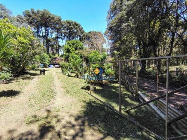 Sítio e chácara venda em Região Geográfica Imediata de Curitiba, Região Metropolitana de Curitiba
