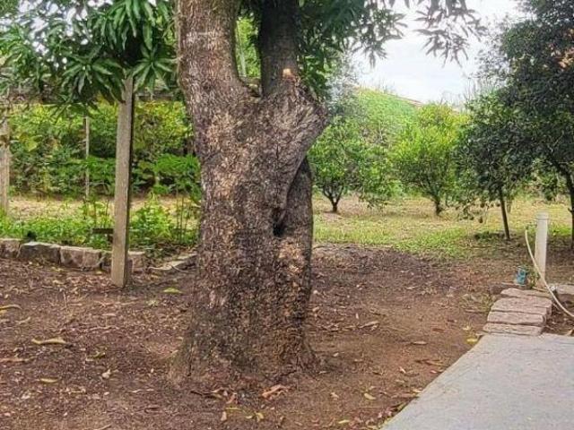 Sítio e chácara venda em Salto