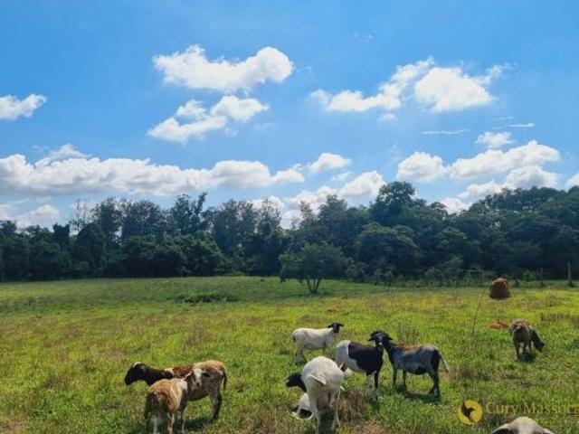 Sítio e chácara venda em Região Imediata de Sorocaba, Região Metropolitana de Sorocaba