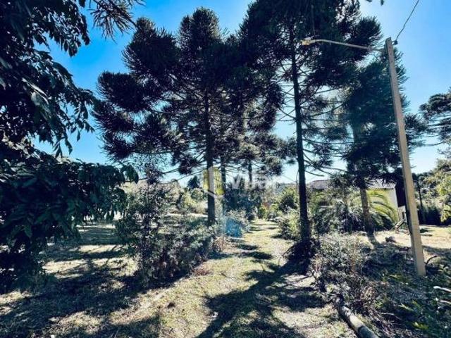 Sítio e chácara venda em Região Geográfica Imediata de Curitiba, Região Metropolitana de Curitiba