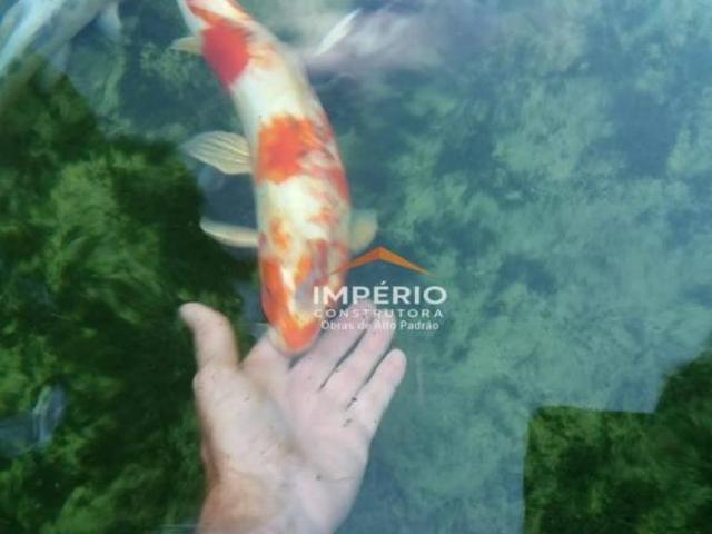 Sítio e chácara venda em Região Imediata de Birigui-Penápolis, Penápolis