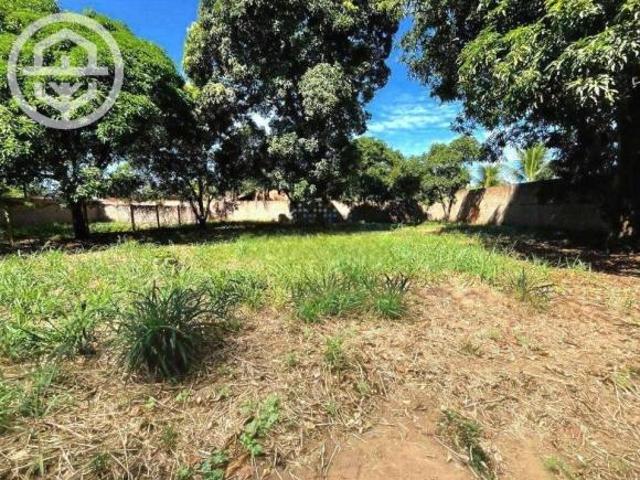 Sítio e chácara venda em Região Imediata de Barretos, Barretos
