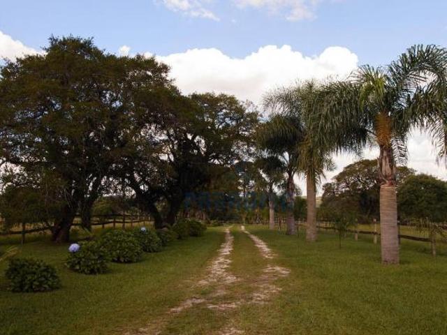 Sítio e chácara venda em Região Geográfica Imediata de Curitiba, Região Metropolitana de Curitiba
