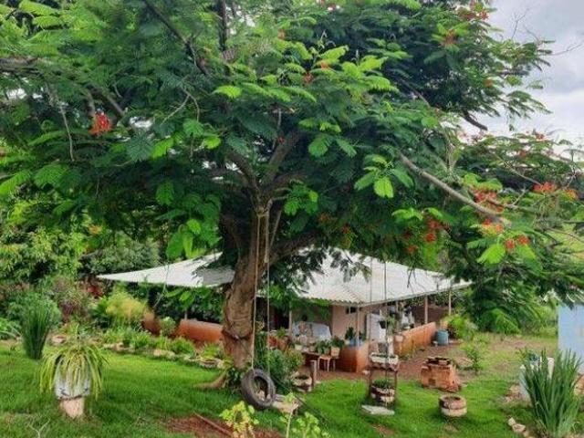 Sitio venda em Assaí Sitio venda em Assaí