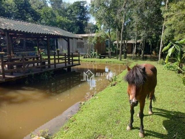 Sítio e chácara venda em Região Geográfica Imediata de Curitiba, Região Metropolitana de Curitiba