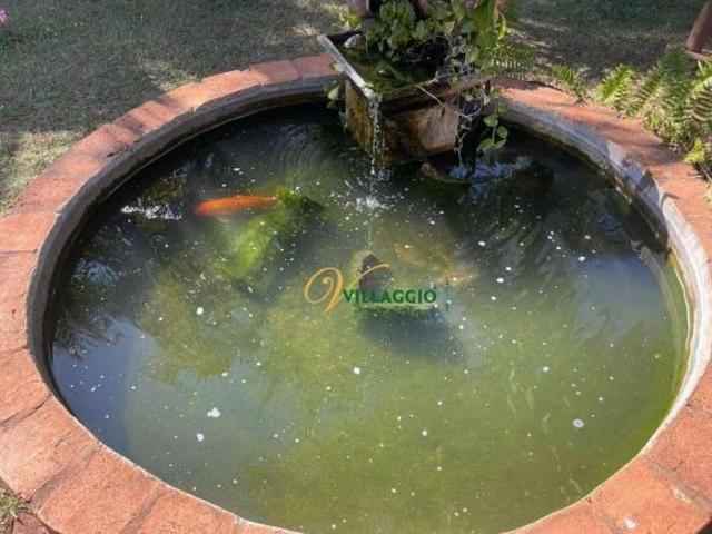 Sítio e chácara venda em Região Imediata de São José do Rio Preto, Região Metropolitana de São José do Rio Preto