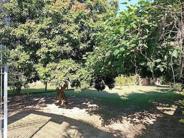 Sítio e chácara venda em Região Imediata de Campinas, Região Metropolitana de Campinas