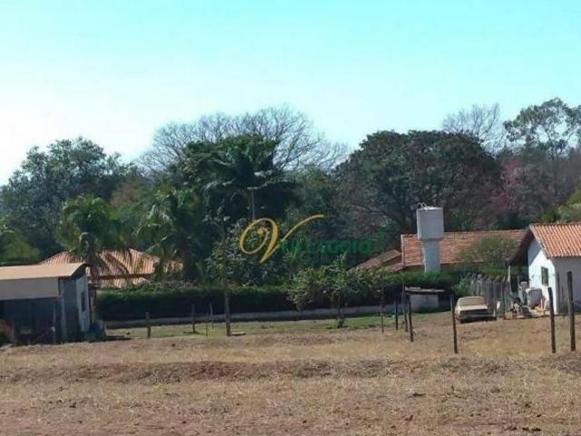 Sítio e chácara venda em Região Imediata de São José do Rio Preto, Região Metropolitana de São José do Rio Preto