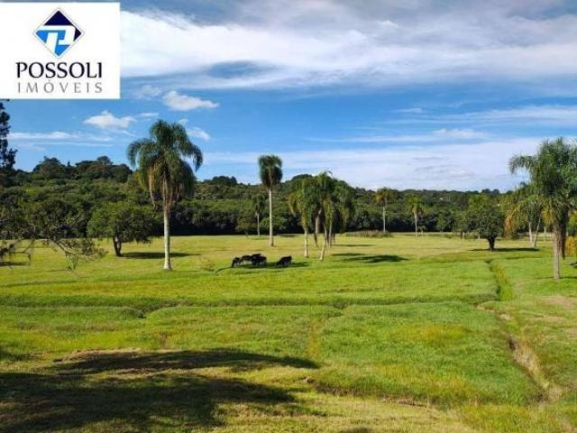 Sítio e chácara venda em Ferraria, Campo Largo