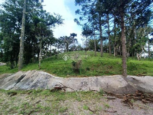 Sítio e chácara venda em Região Geográfica Imediata de Curitiba, Região Metropolitana de Curitiba