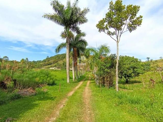 Sítio e chácara venda em Região Geográfica Imediata de Juiz de Fora, Juiz de Fora