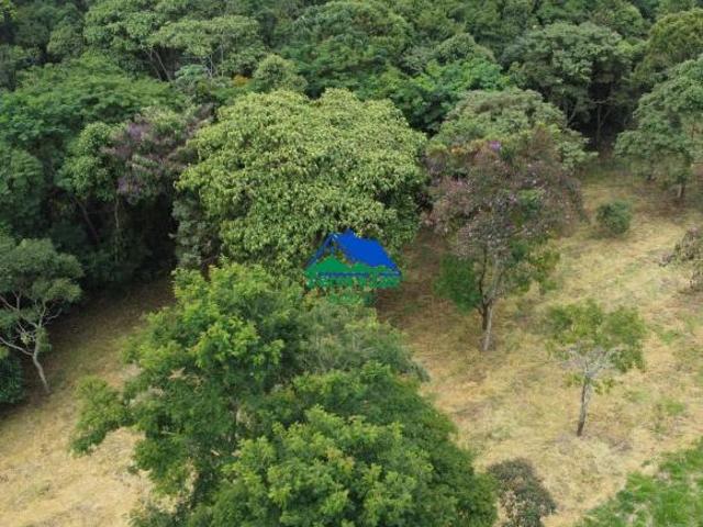 Sítio e chácara venda em Região Geográfica Imediata de Caxambu - Baependi, Aiuruoca