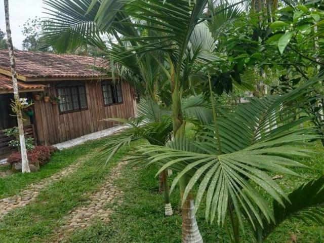 Sítio e chácara venda em Canhembora, Morretes