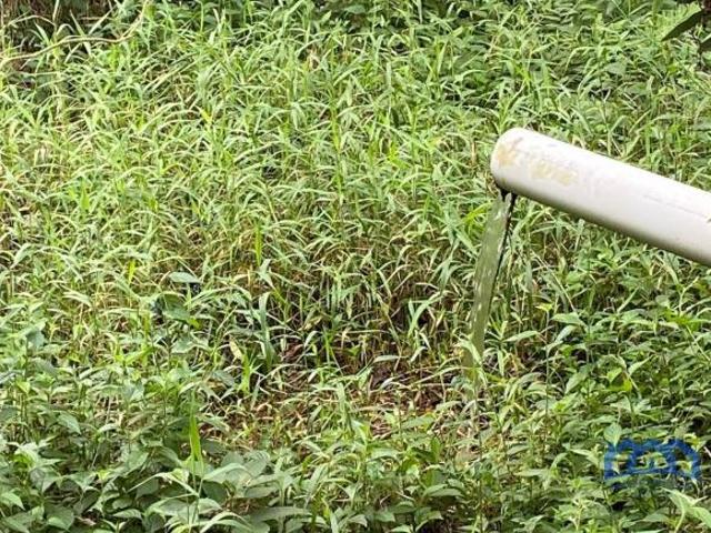 Sítio e chácara venda em Região Imediata de Sorocaba, Região Metropolitana de Sorocaba